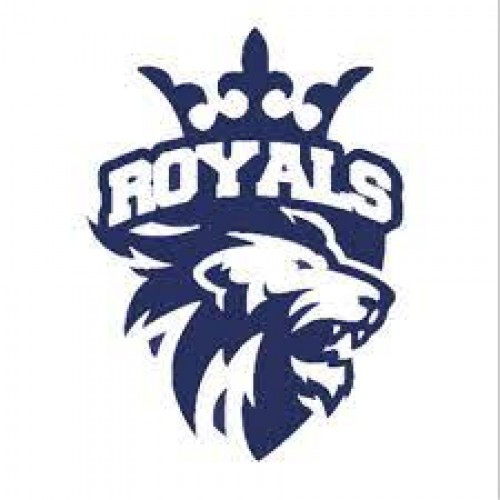 tiger-team