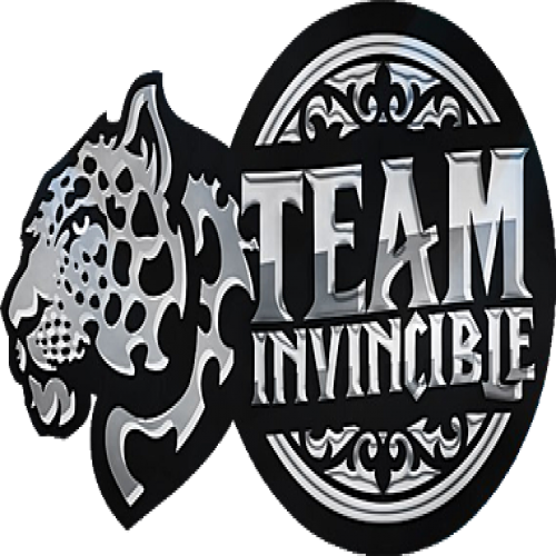 tiger-team